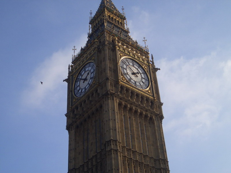 Bild vergr&ouml;ssern