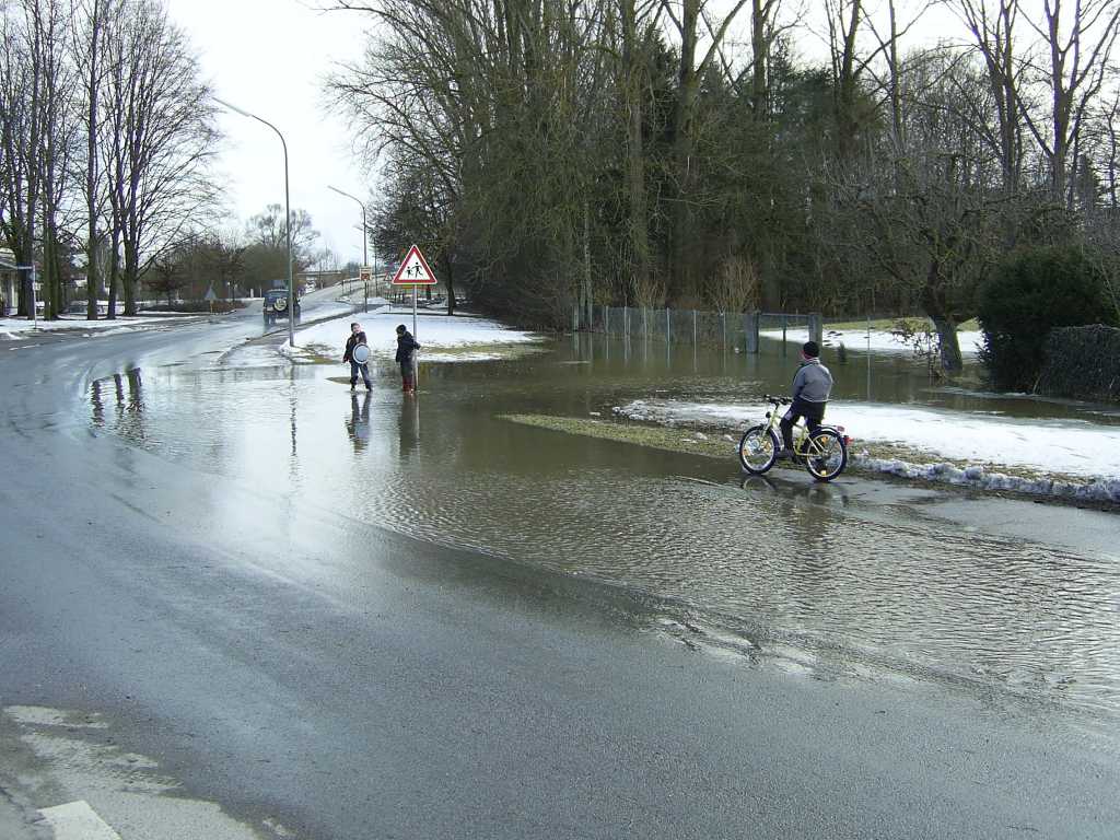 Bild vergr&ouml;ssern