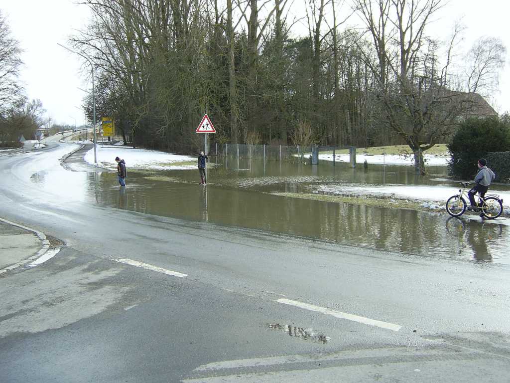 Bild vergr&ouml;ssern