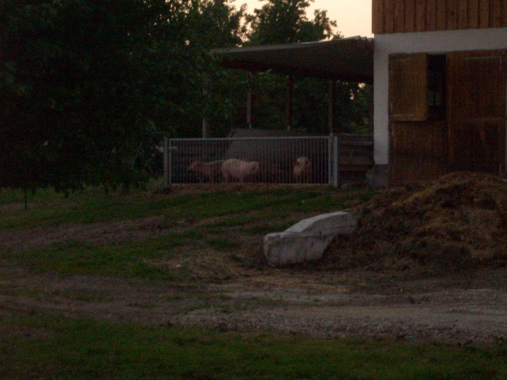 Bild vergr&ouml;ssern