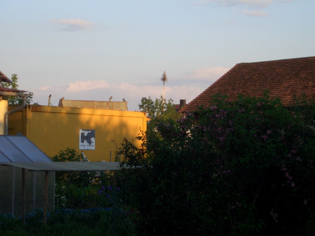 Bild vergr&ouml;ssern