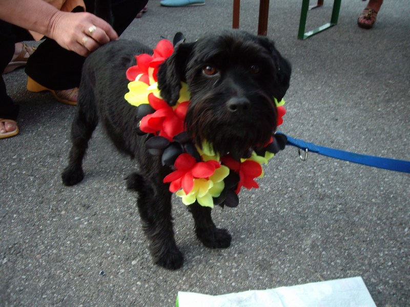 Bild vergr&ouml;ssern