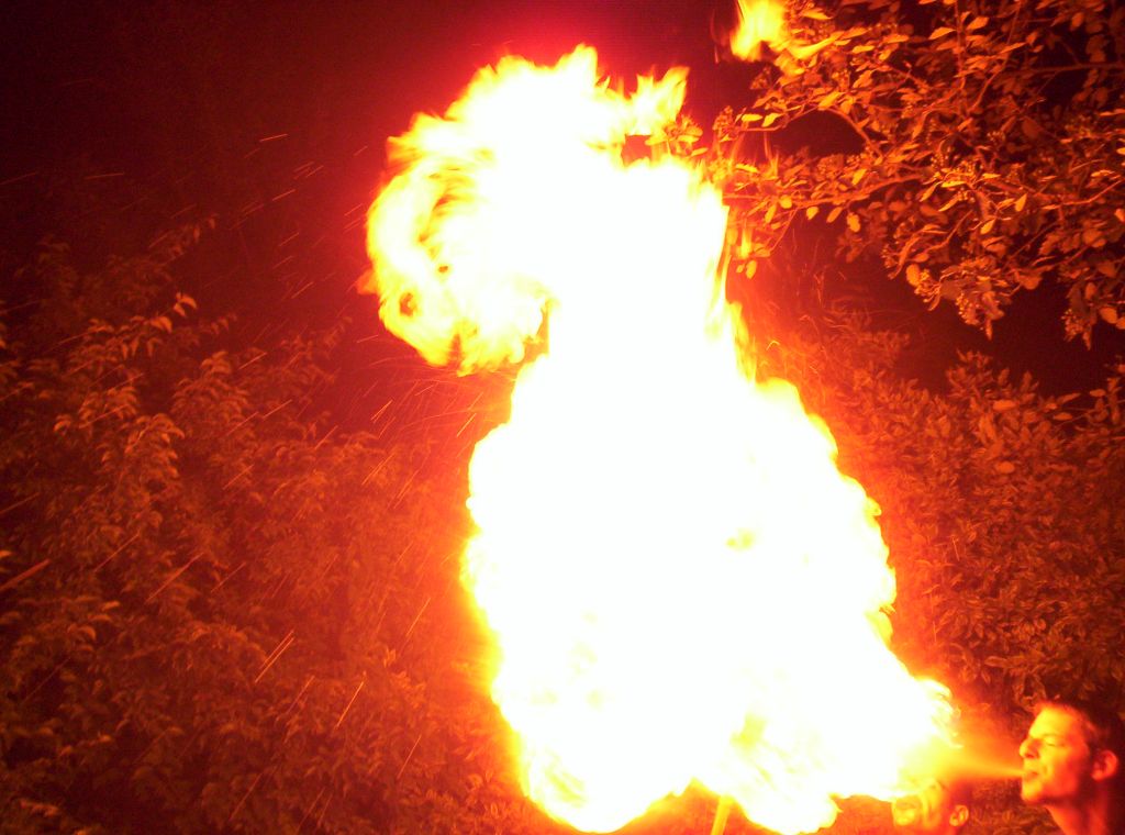 Bild vergr&ouml;ssern