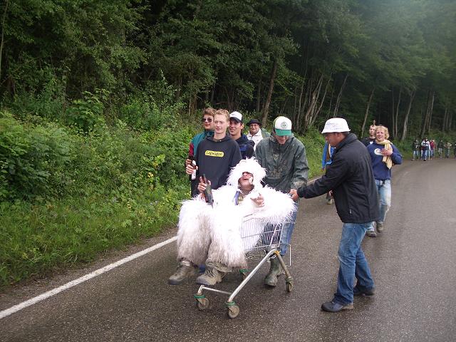 Bild vergr&ouml;ssern