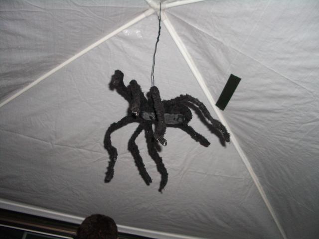 Bild vergr&ouml;ssern