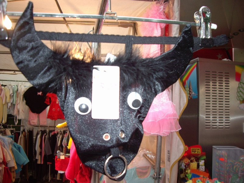 Bild vergr&ouml;ssern