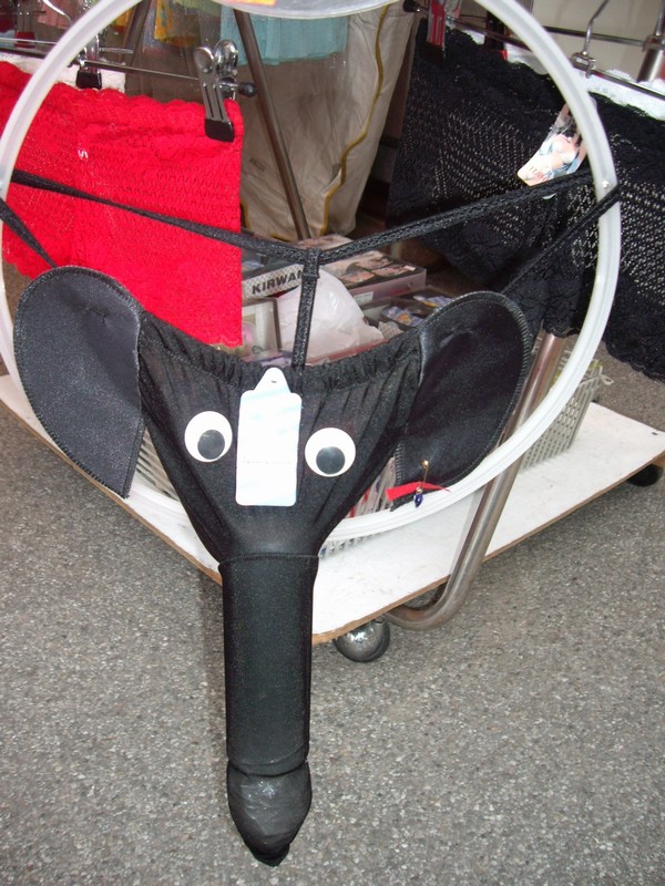 Bild vergr&ouml;ssern