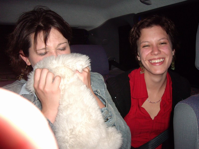 Bild vergr&ouml;ssern