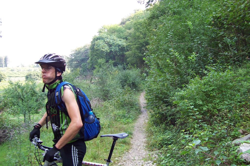 Bild vergr&ouml;ssern