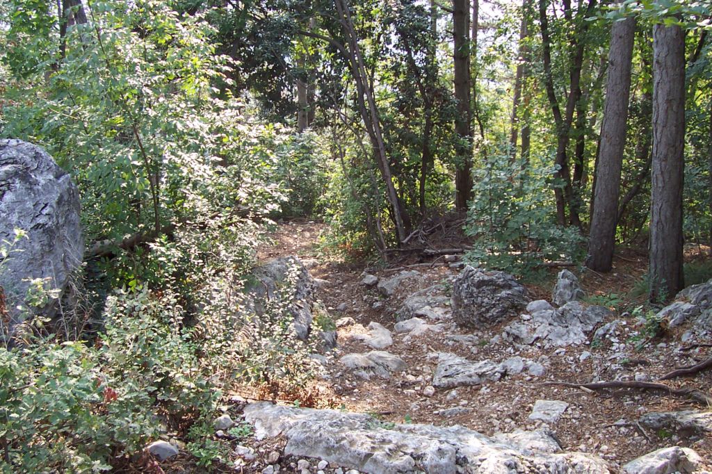 Bild vergr&ouml;ssern