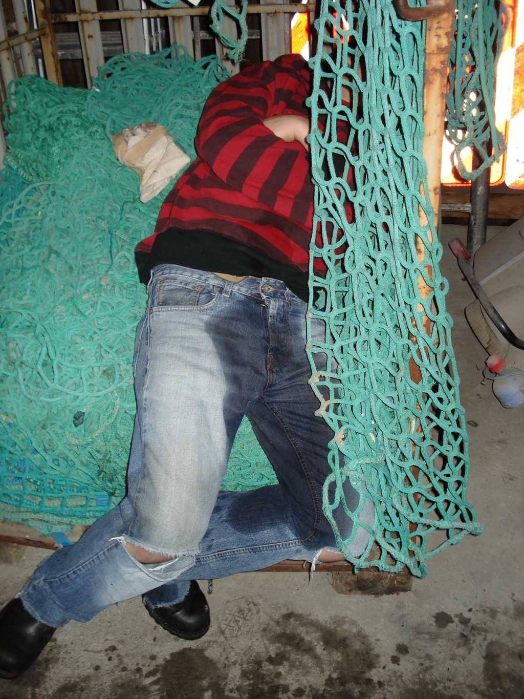 Bild vergr&ouml;ssern