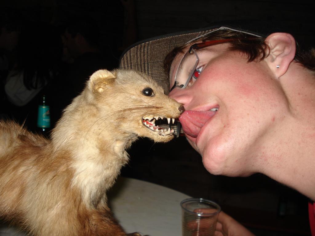 Bild vergr&ouml;ssern