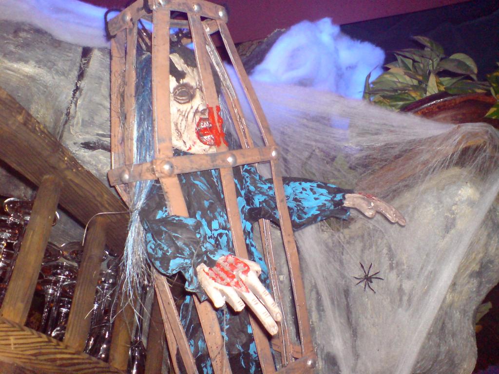 Bild vergr&ouml;ssern