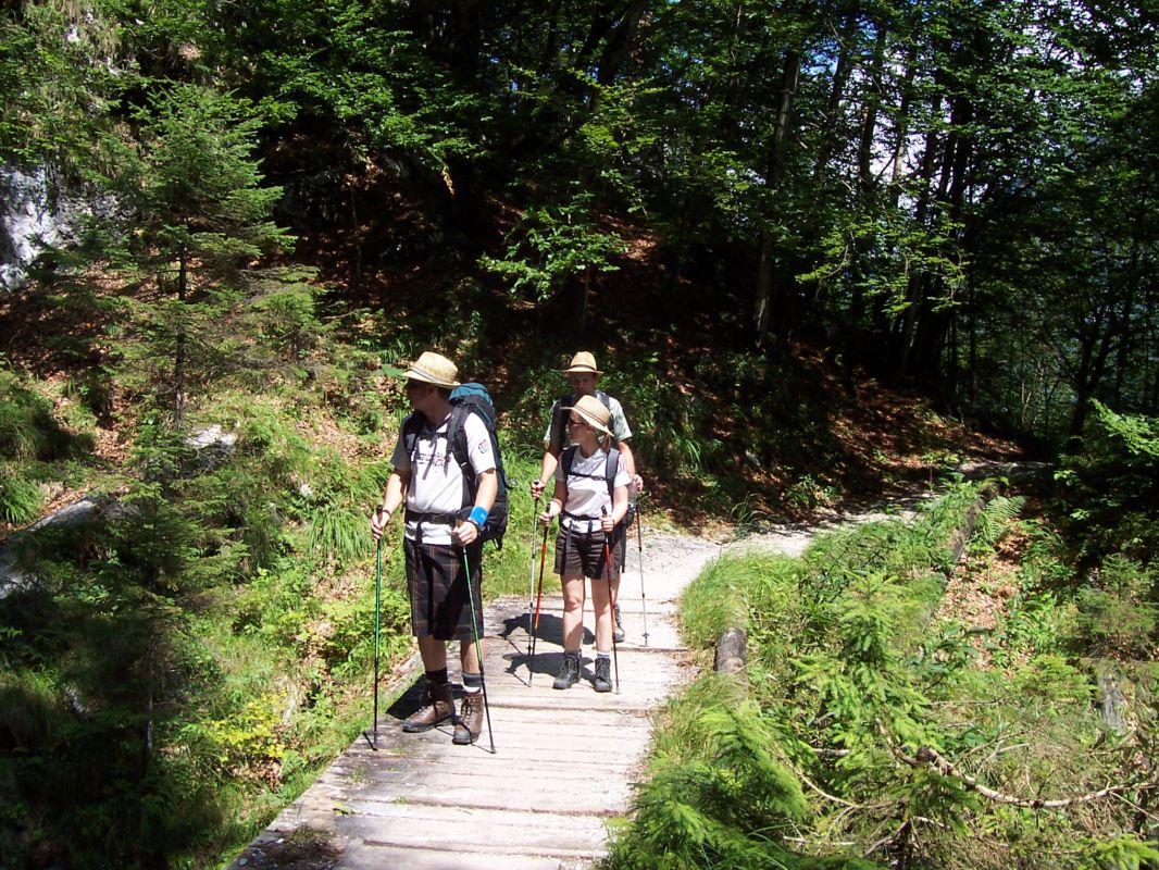 Bild vergr&ouml;ssern