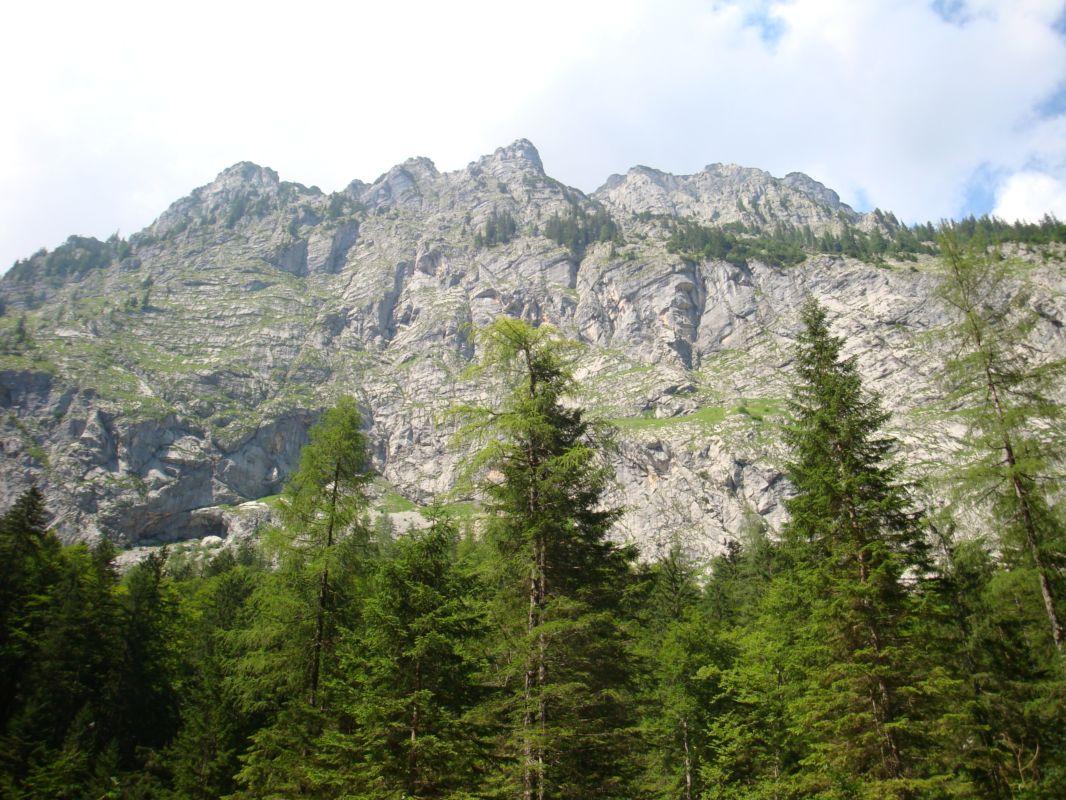 Bild vergr&ouml;ssern