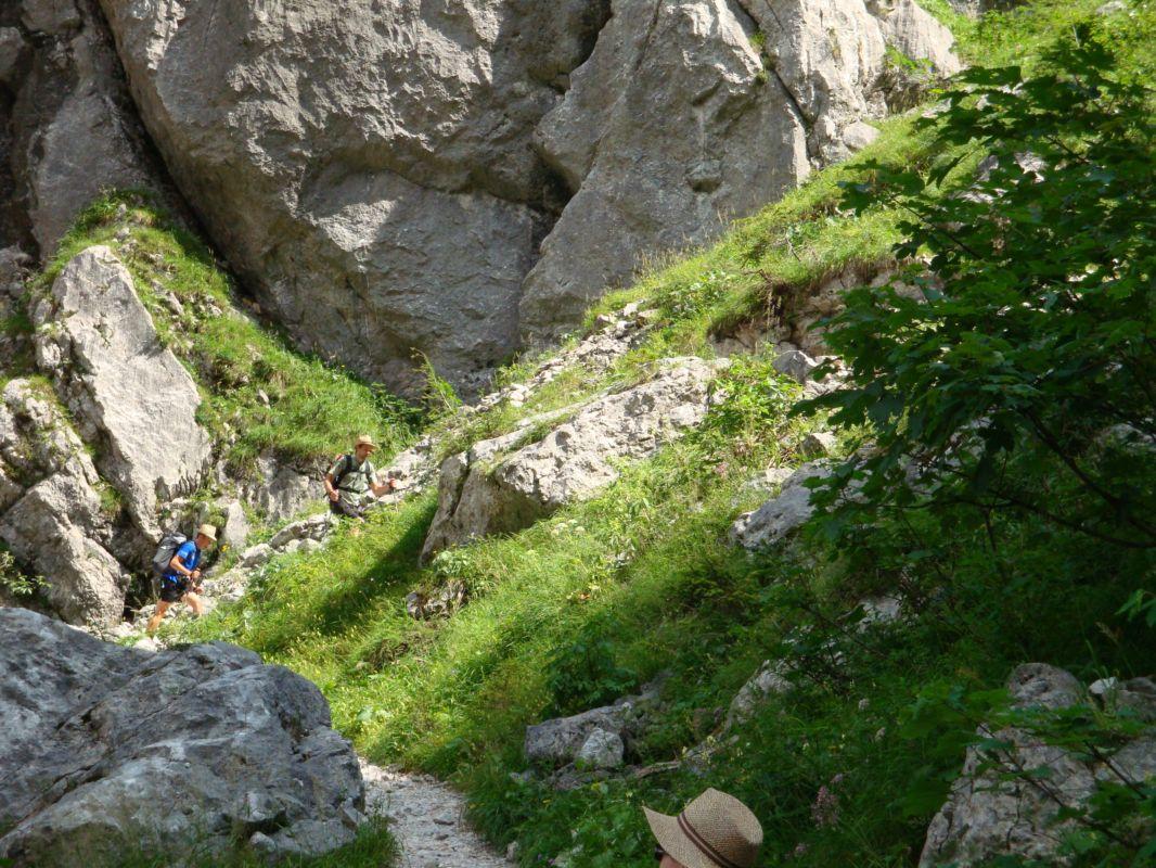 Bild vergr&ouml;ssern