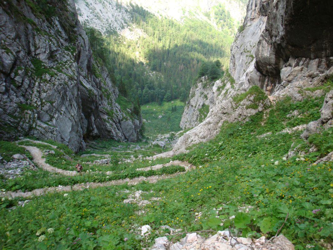 Bild vergr&ouml;ssern