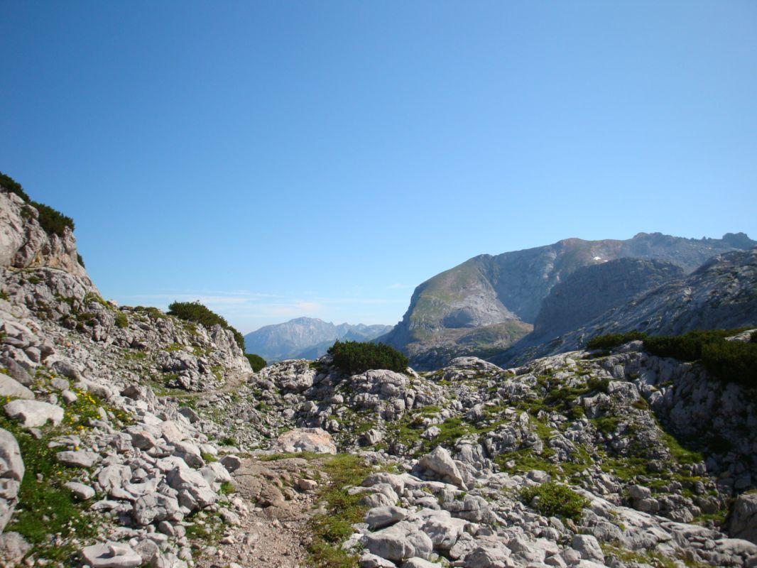 Bild vergr&ouml;ssern