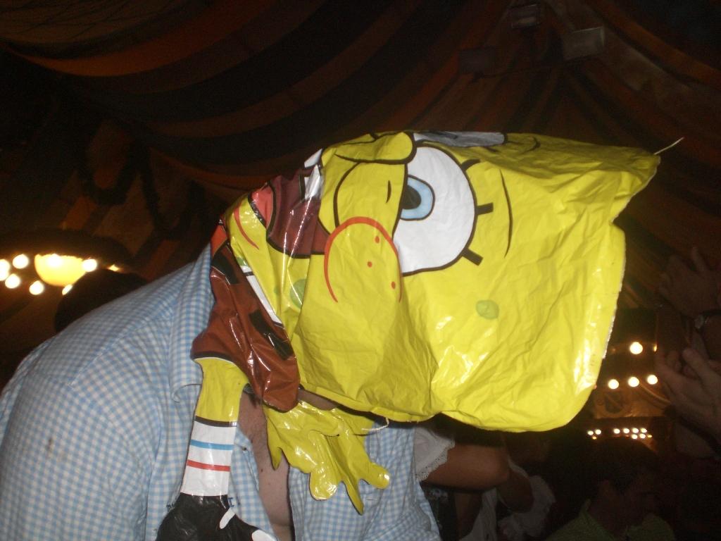 Bild vergr&ouml;ssern