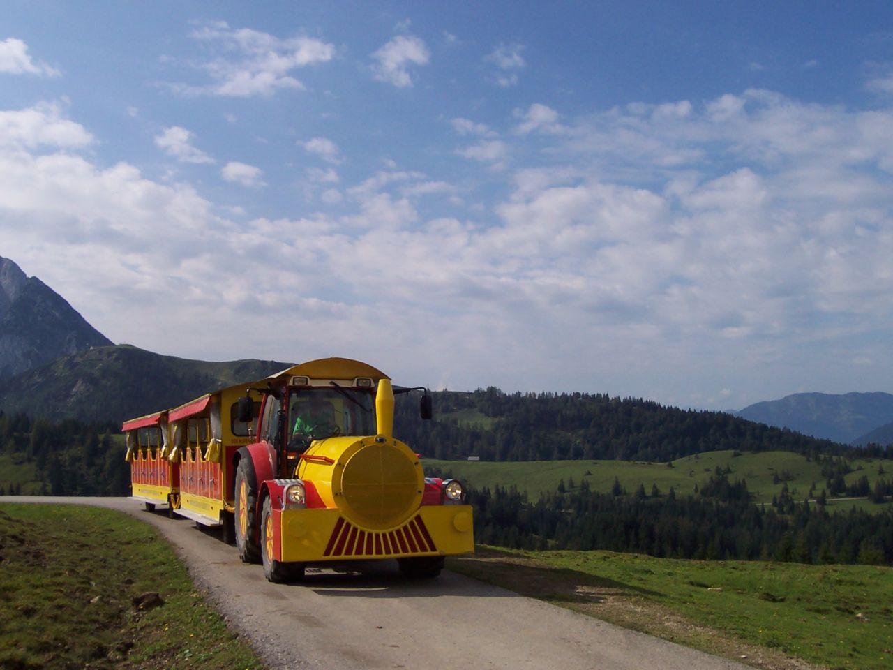 Bild vergr&ouml;ssern