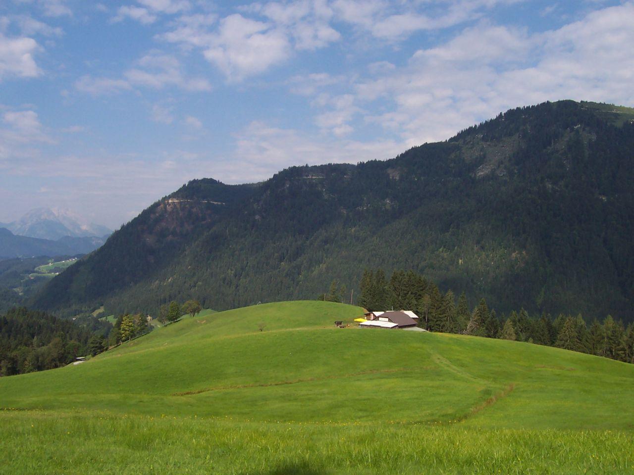 Bild vergr&ouml;ssern