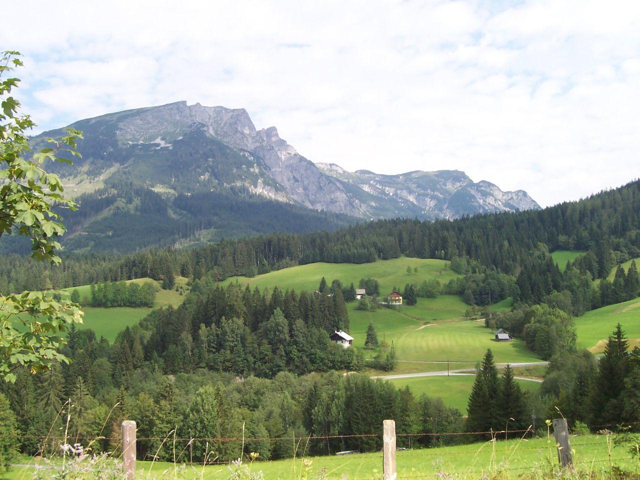 Bild vergr&ouml;ssern