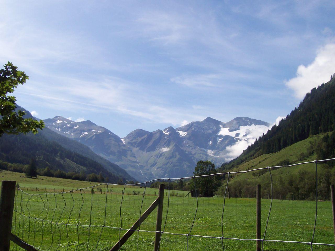 Bild vergr&ouml;ssern