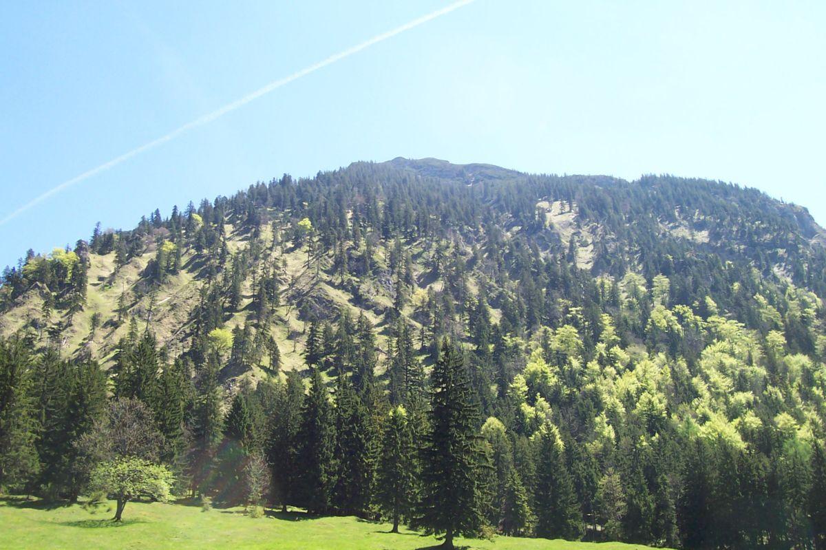 Bild vergr&ouml;ssern