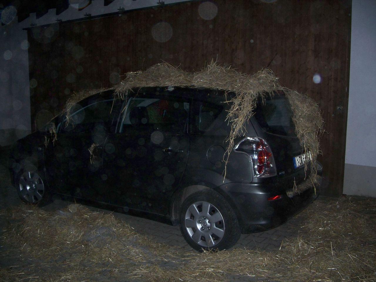 Bild vergr&ouml;ssern