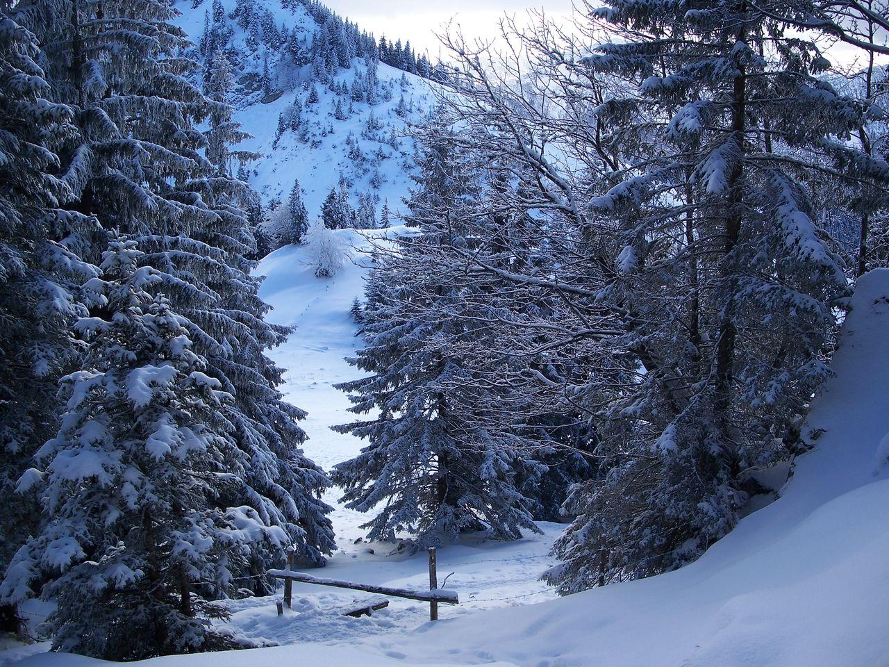 Bild vergr&ouml;ssern