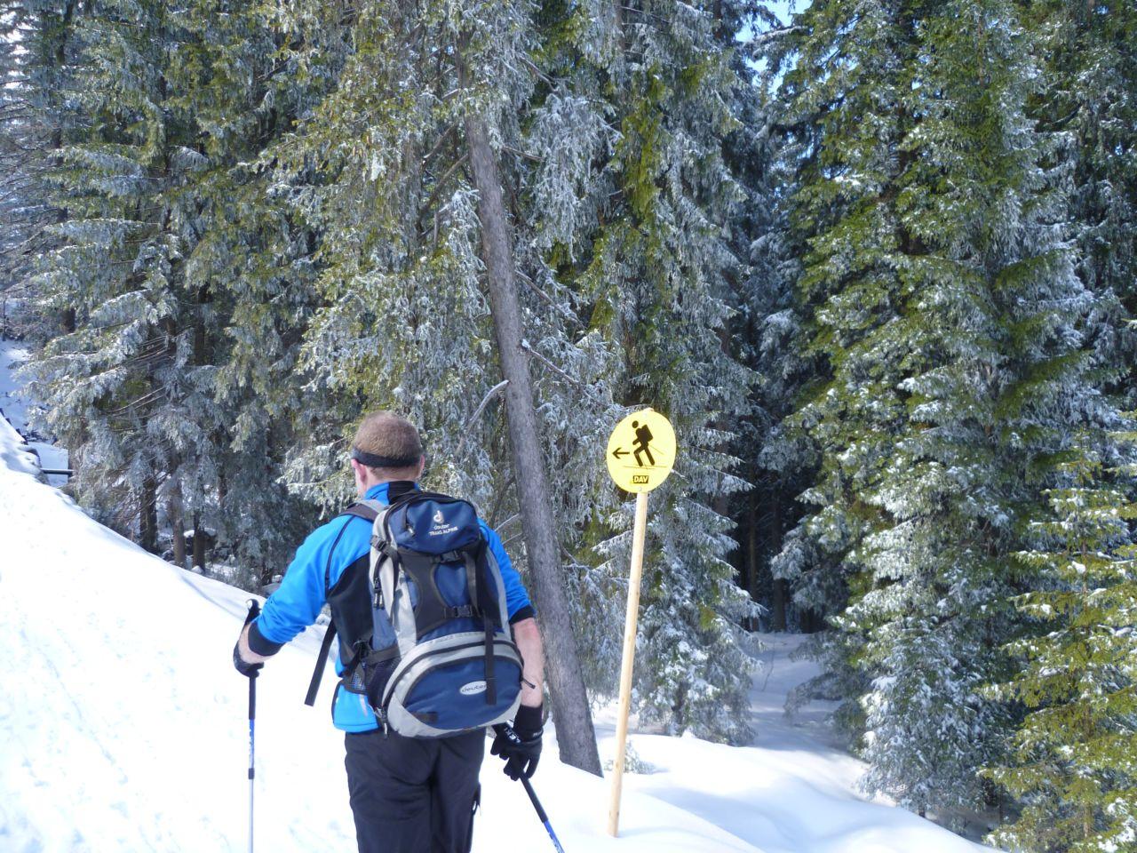 Bild vergr&ouml;ssern