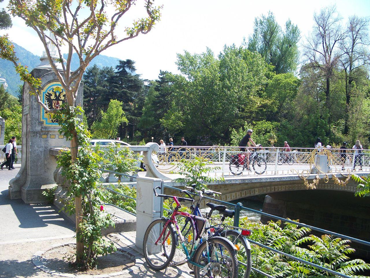 Bild vergr&ouml;ssern