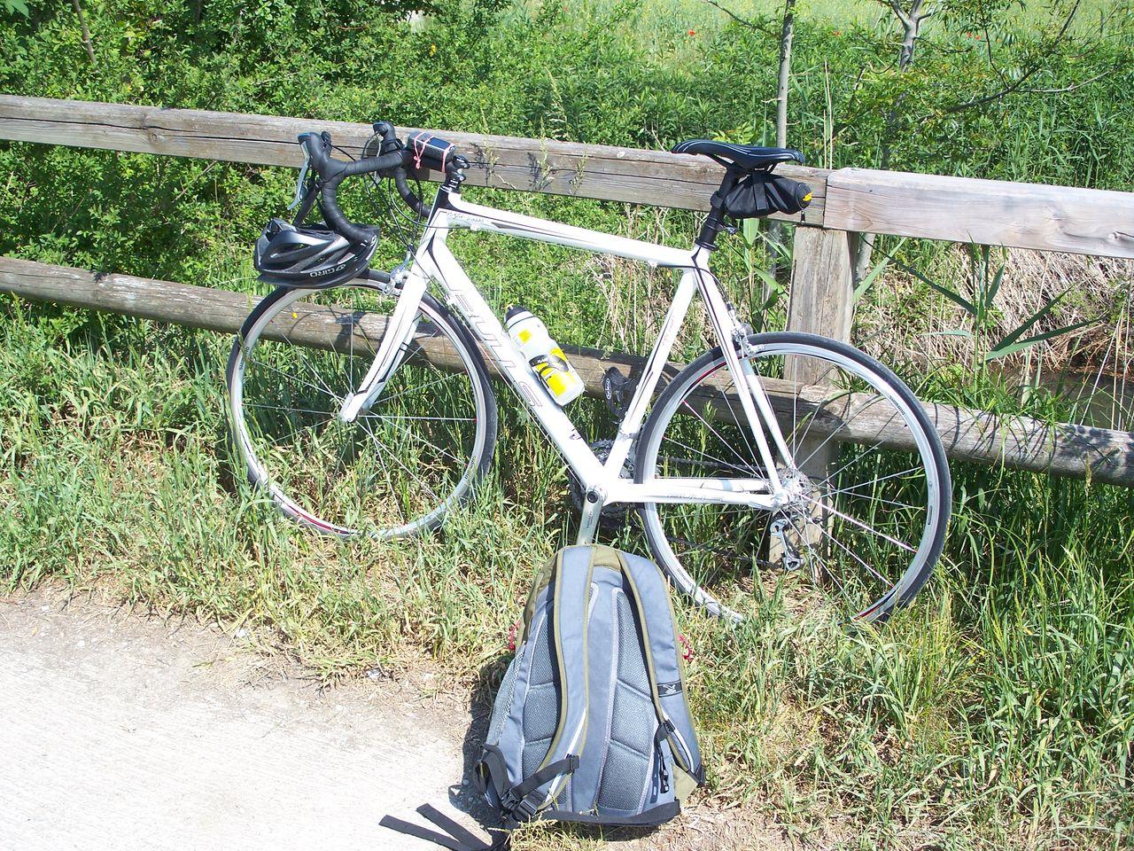 Bild vergr&ouml;ssern