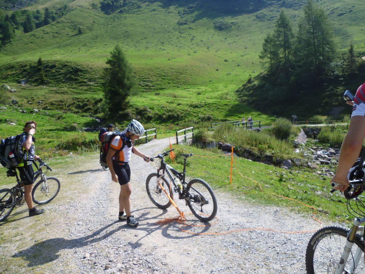 Bild vergr&ouml;ssern