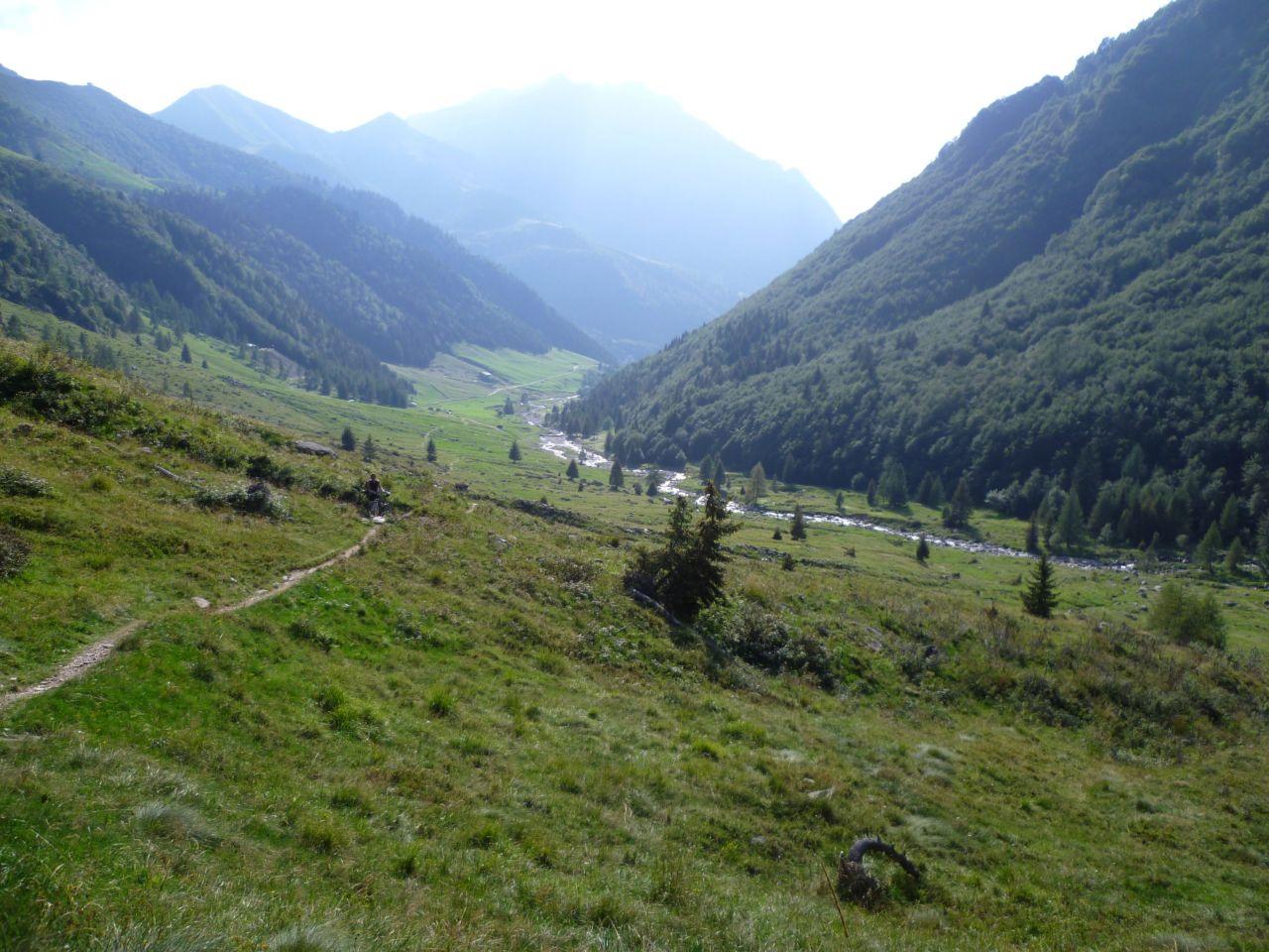 Bild vergr&ouml;ssern