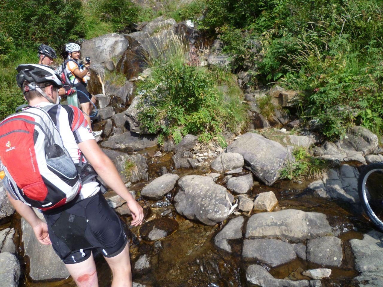 Bild vergr&ouml;ssern