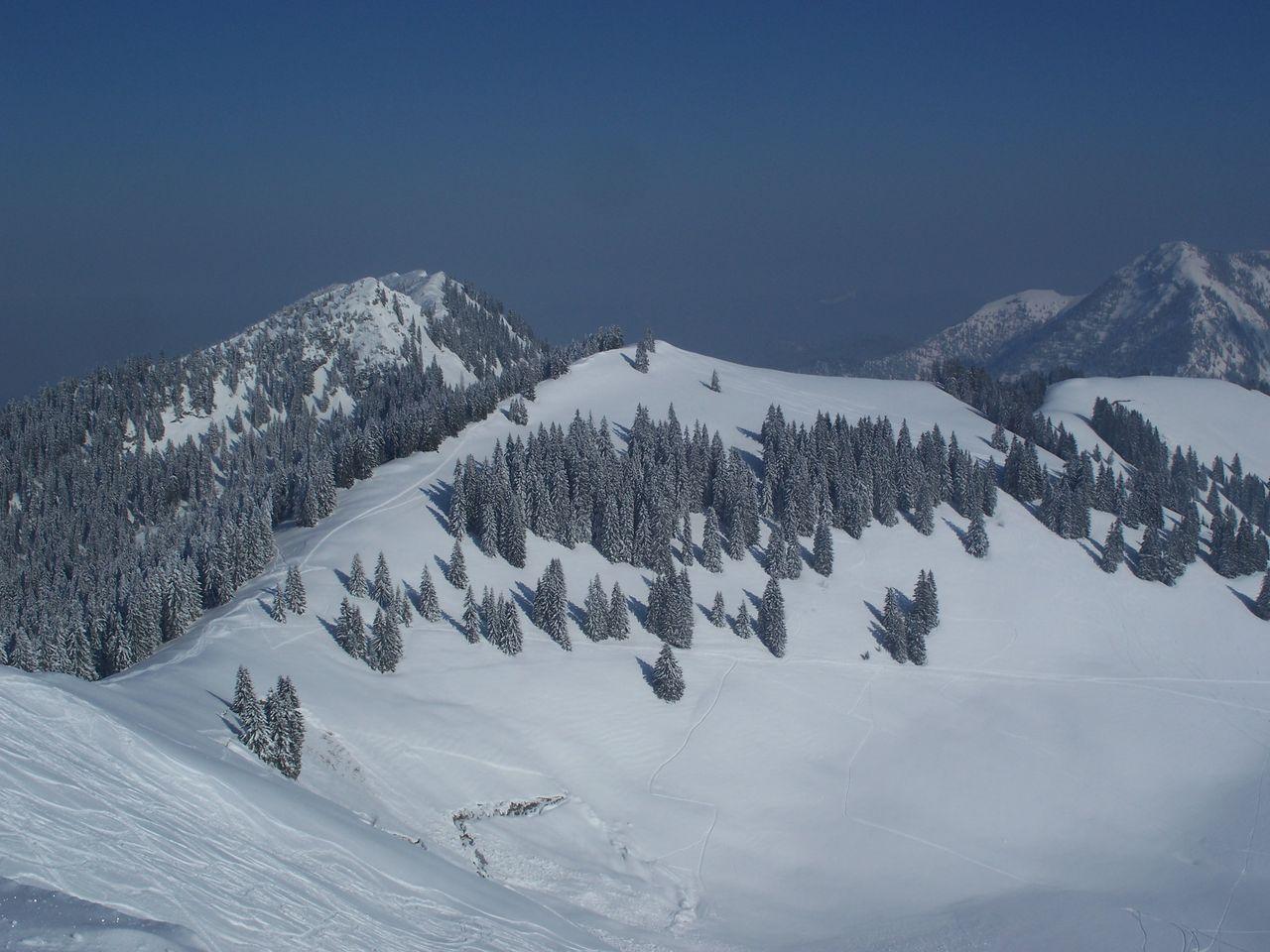 Bild vergr&ouml;ssern