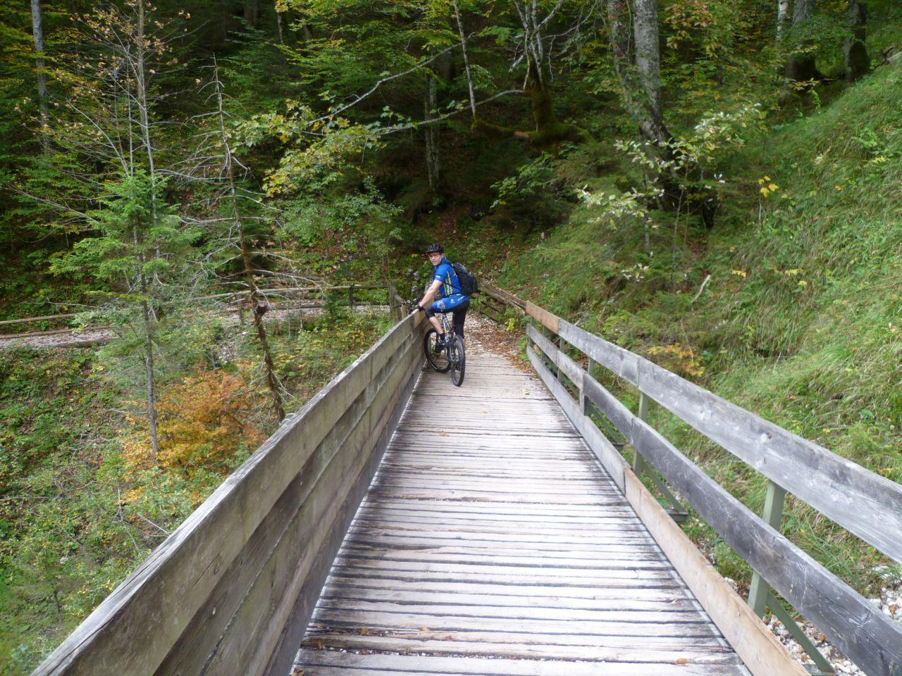 Bild vergr&ouml;ssern