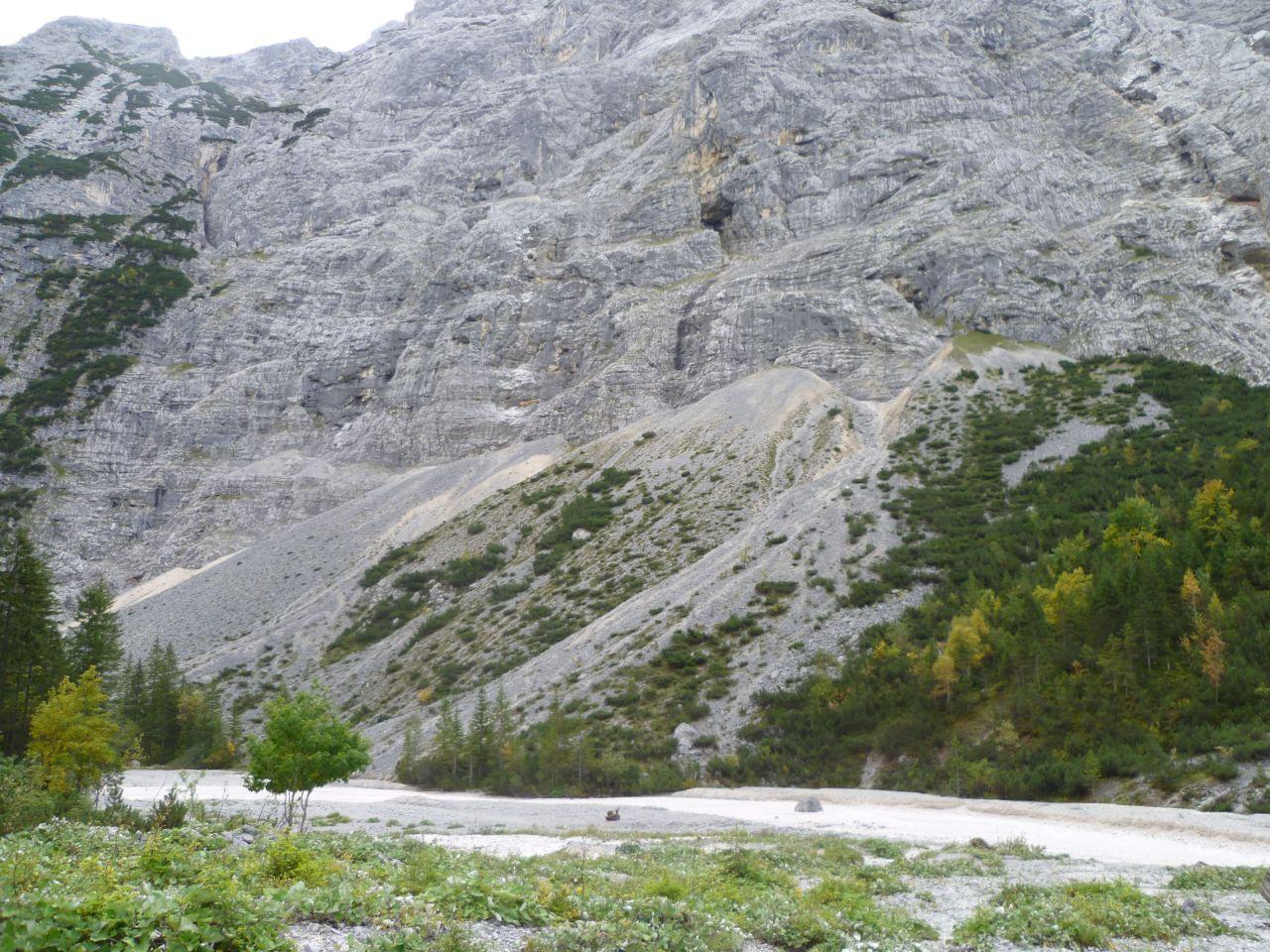 Bild vergr&ouml;ssern