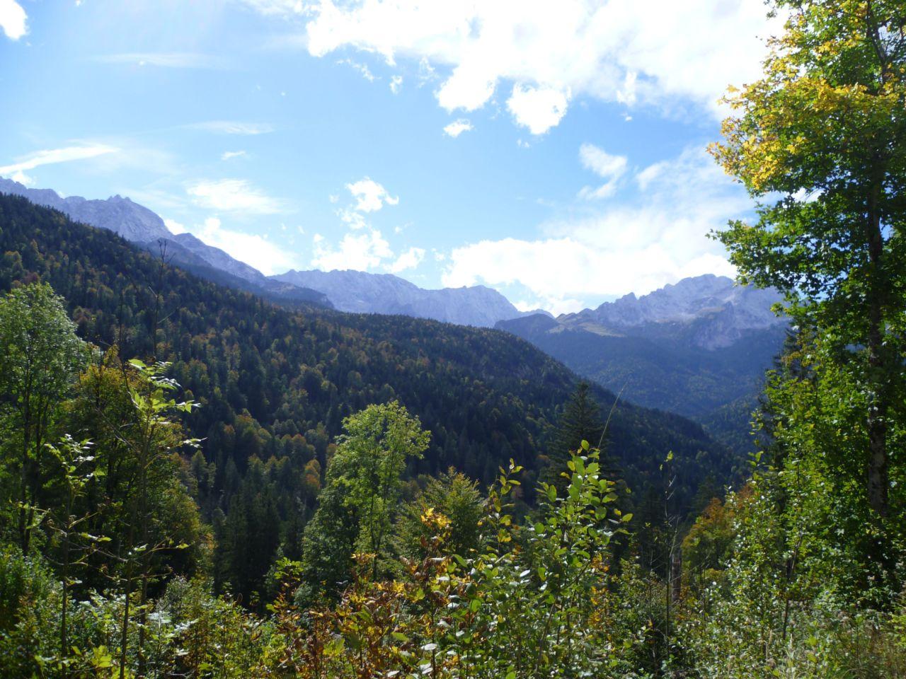 Bild vergr&ouml;ssern