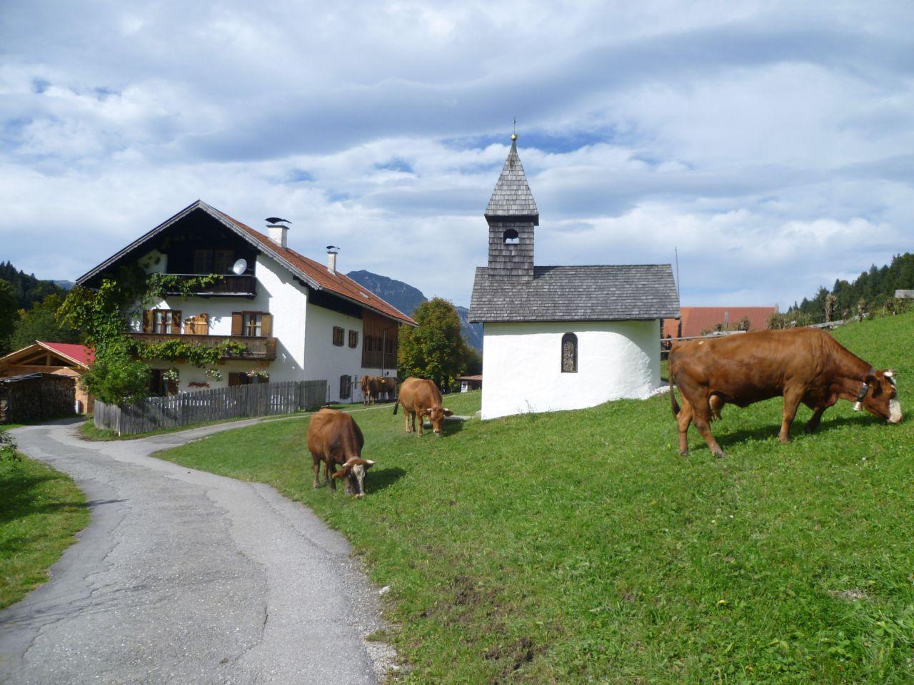 Bild vergr&ouml;ssern