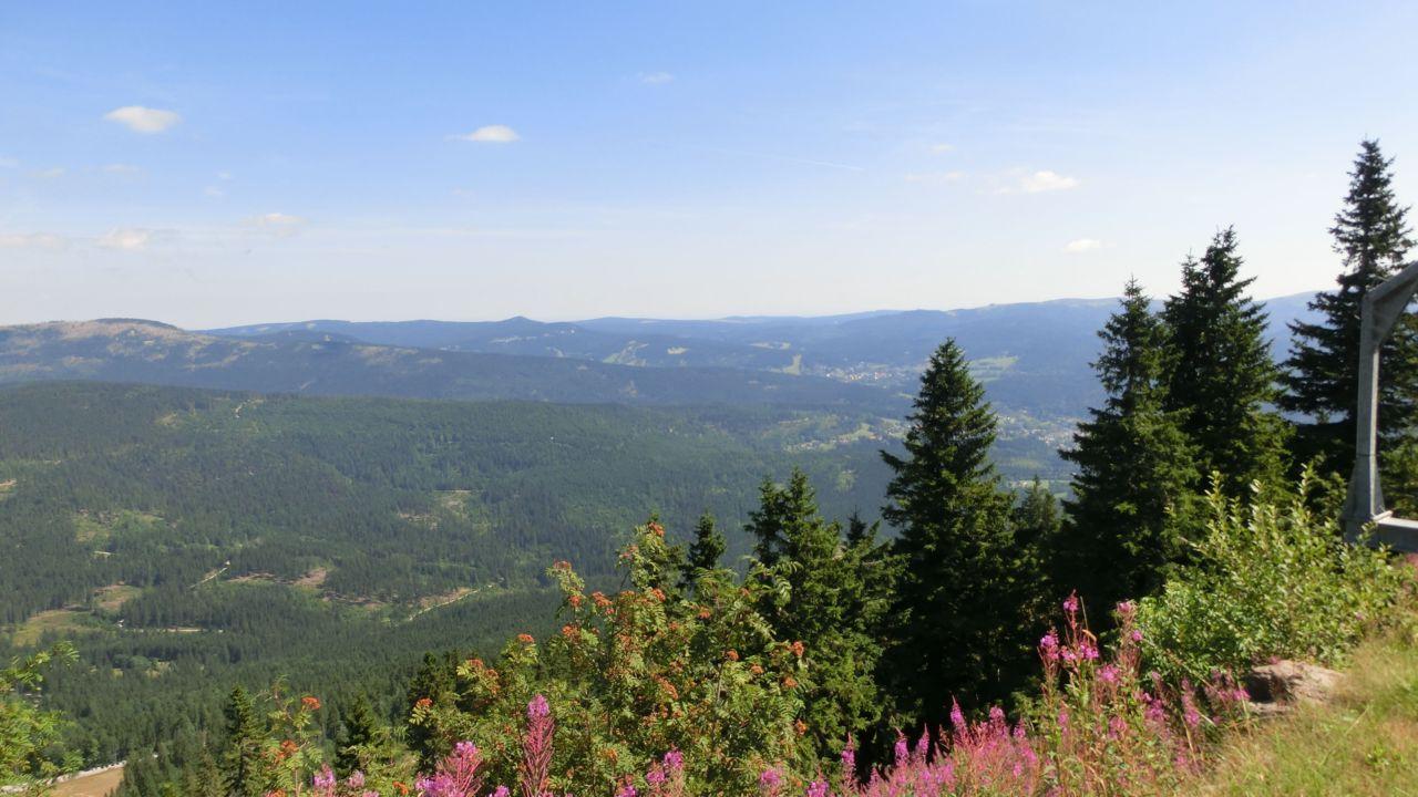 Bild vergr&ouml;ssern