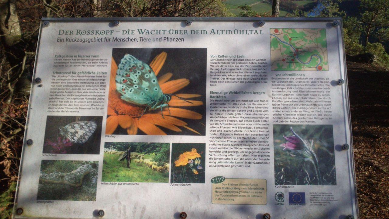 Bild vergr&ouml;ssern