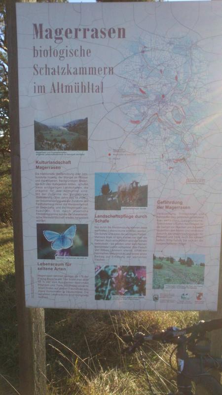 Bild vergr&ouml;ssern