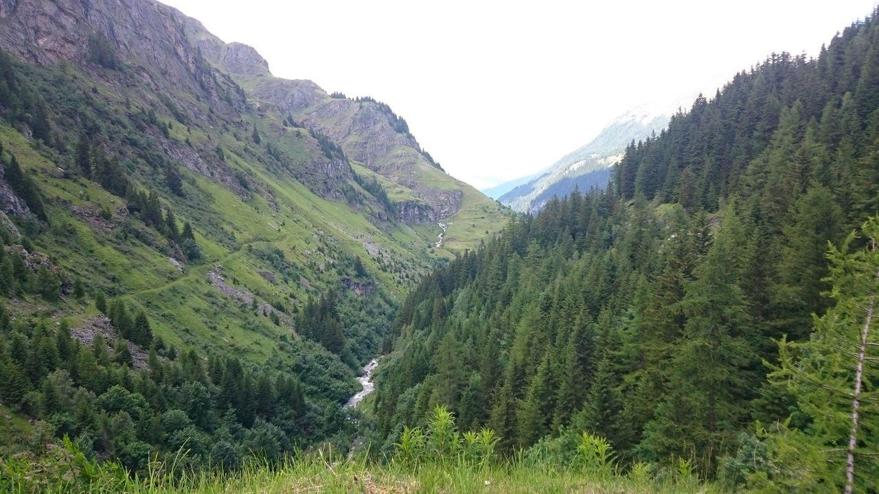 Bild vergr&ouml;ssern