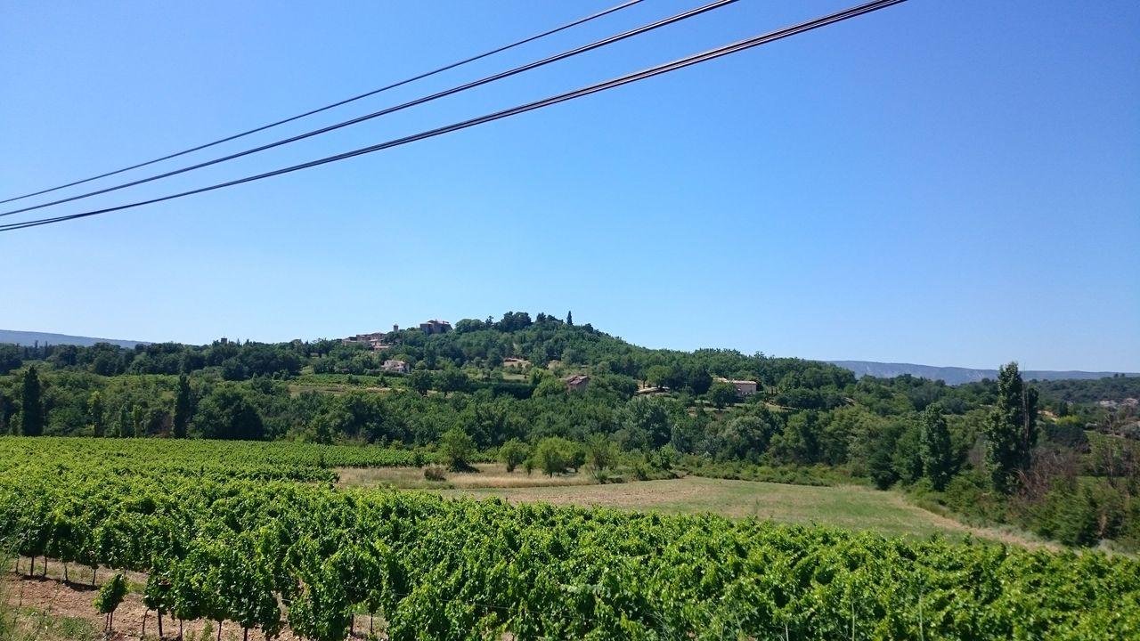 Bild vergr&ouml;ssern