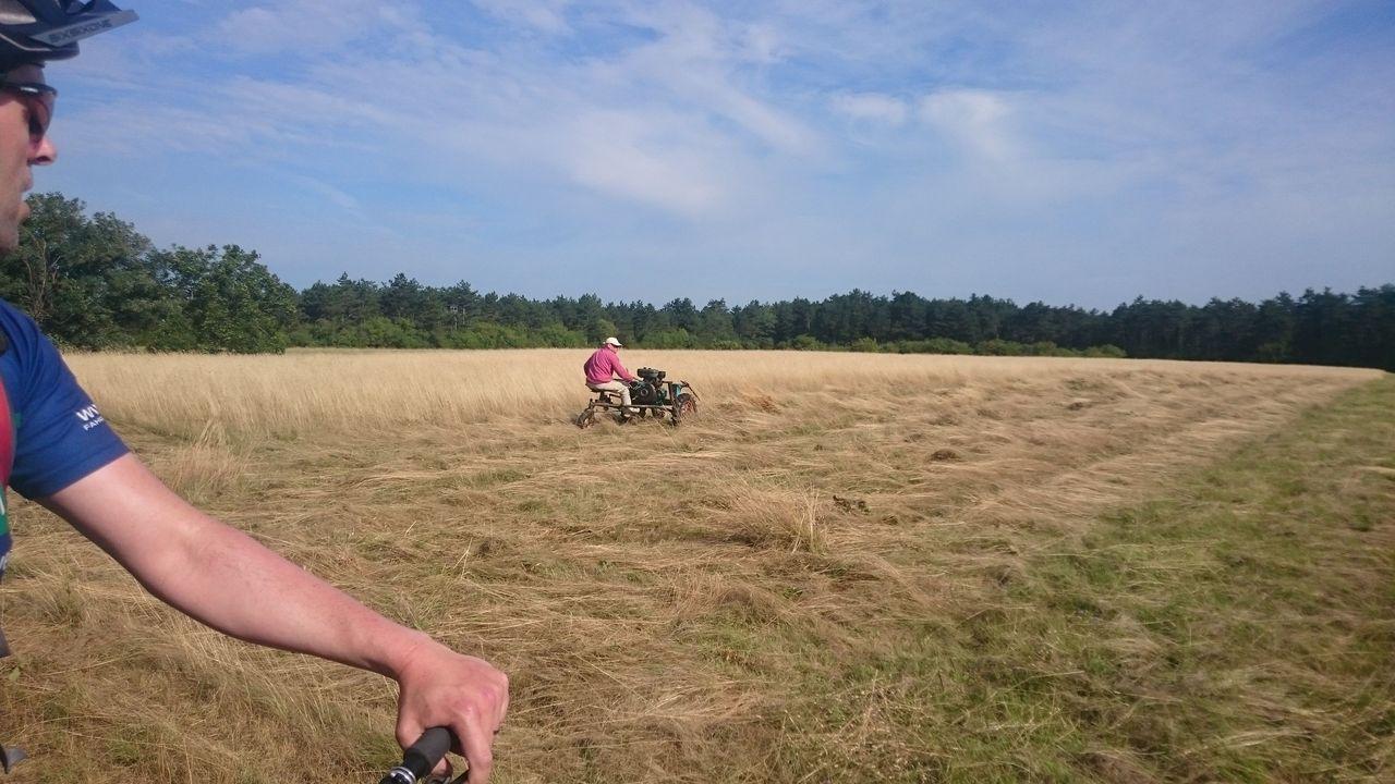 Bild vergr&ouml;ssern