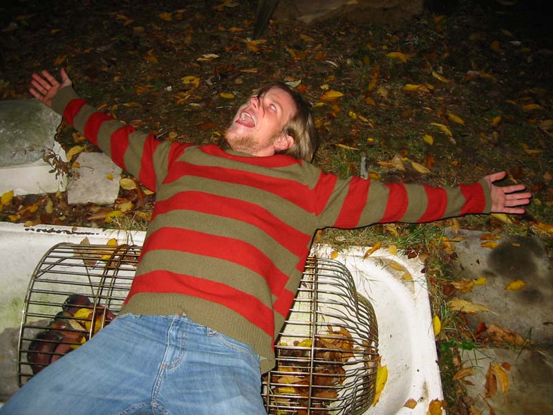 Bild vergr&ouml;ssern