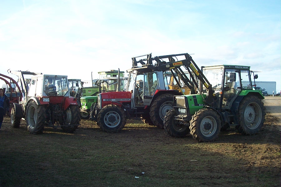 Bild vergr&ouml;ssern