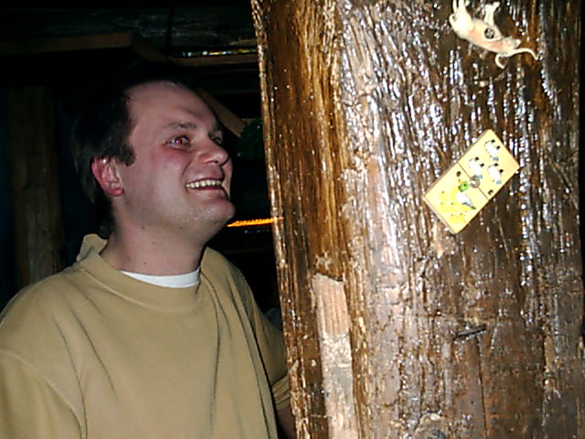 Bild vergr&ouml;ssern